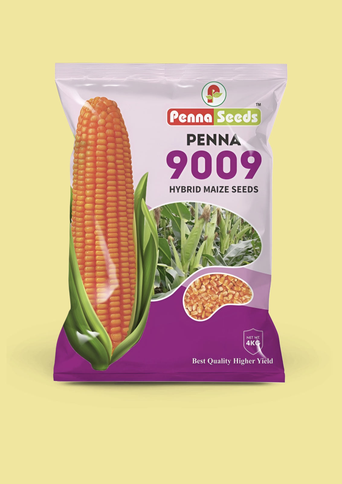 Hybrid Maize