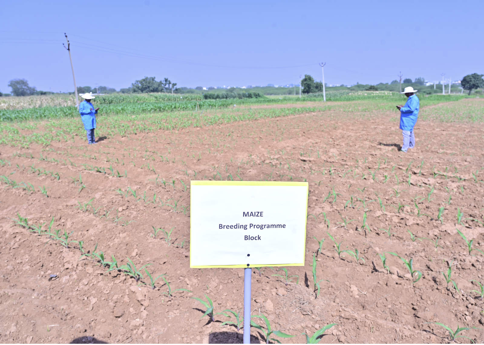 Digital Innovation